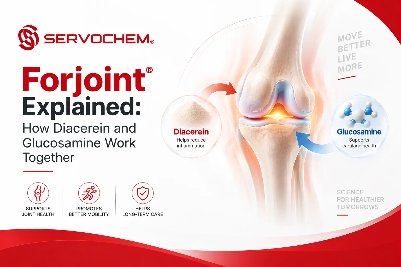 Forjoint Explained: How Diacerein and Glucosamine Work Together